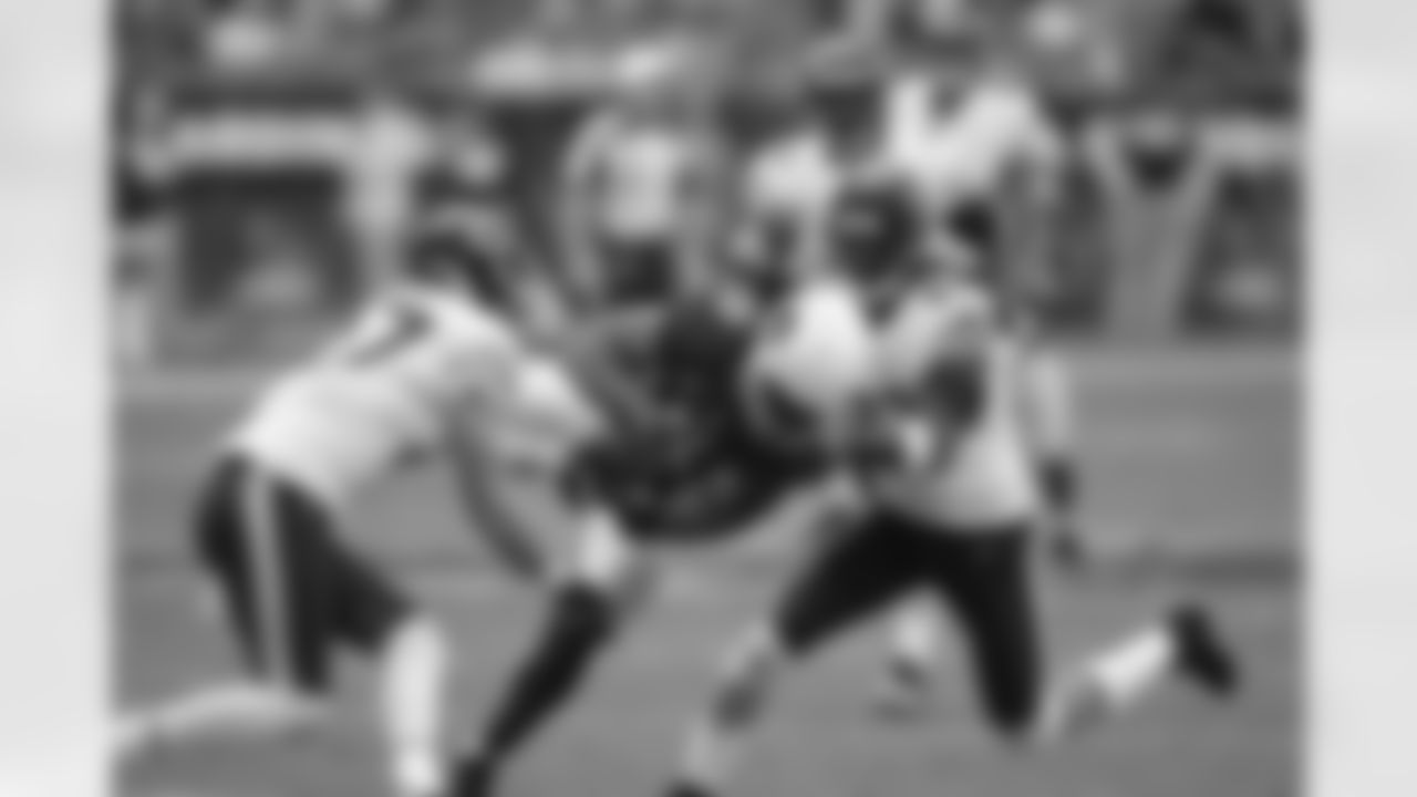 WR Larry Fitzgerald