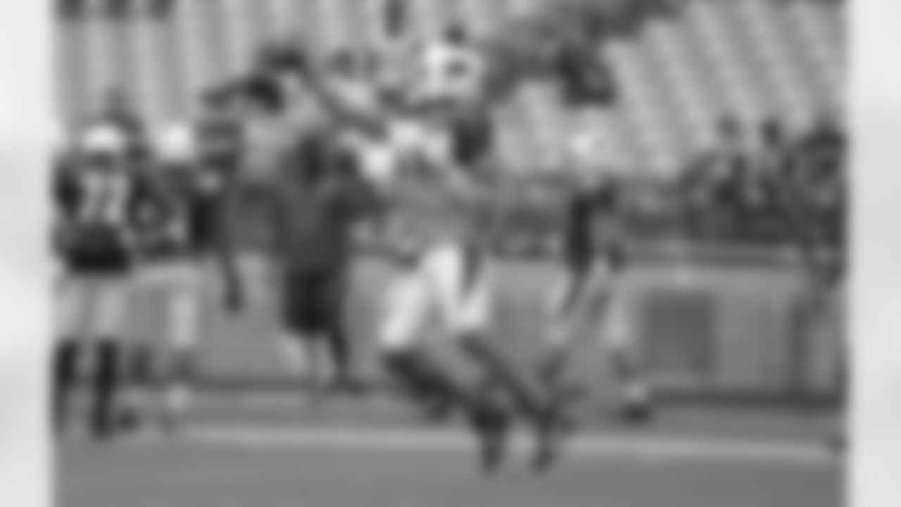 Day 19: WR Larry Fitzgerald with the one-handed catch