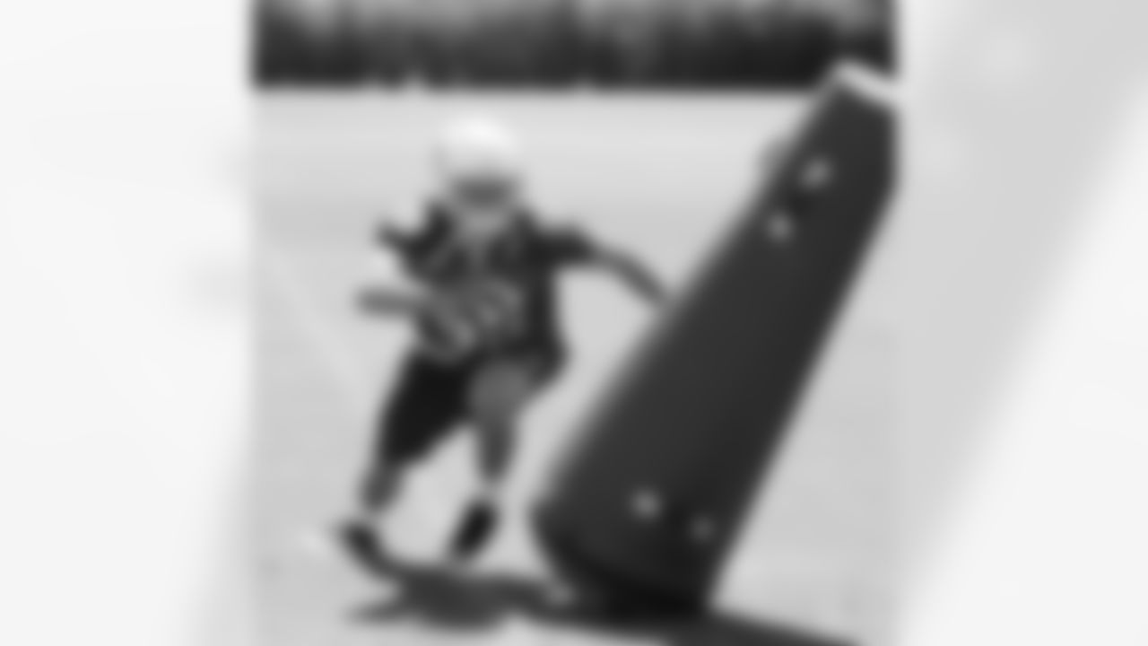 LB Stewart Bradley