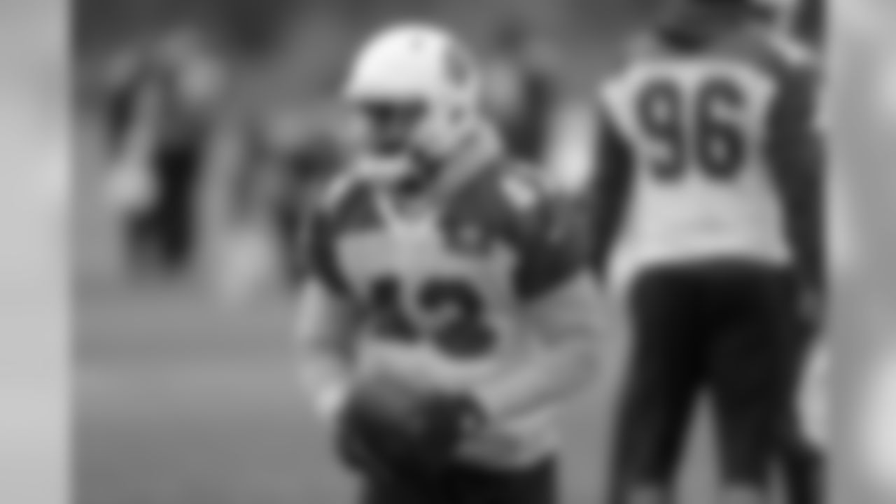 Coach Bruce Arians