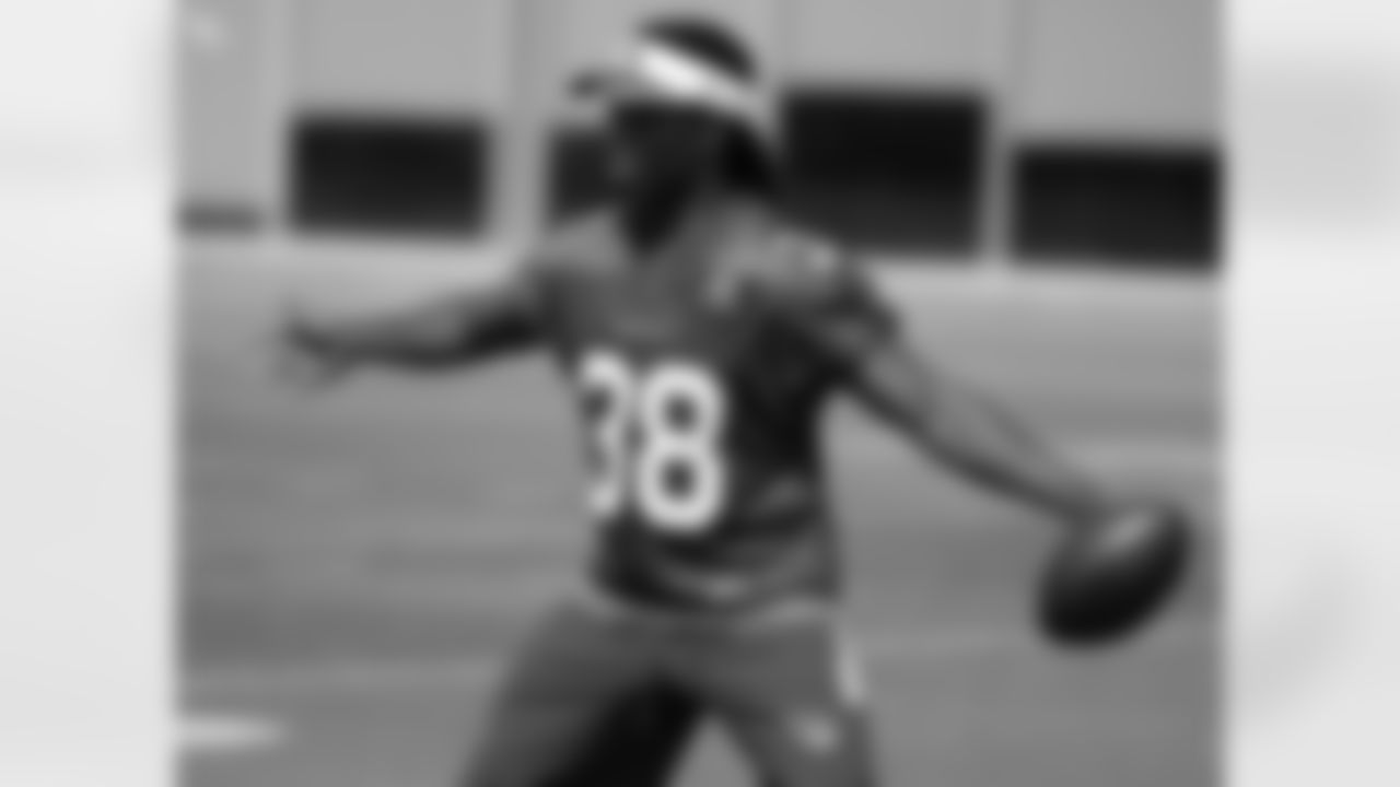 RB Andre Ellington