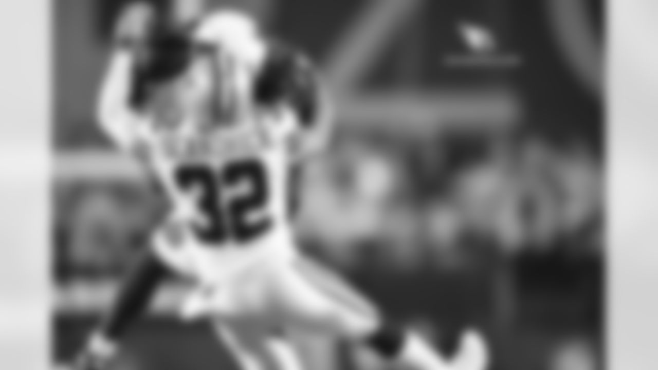 WR Larry Fitzgerald