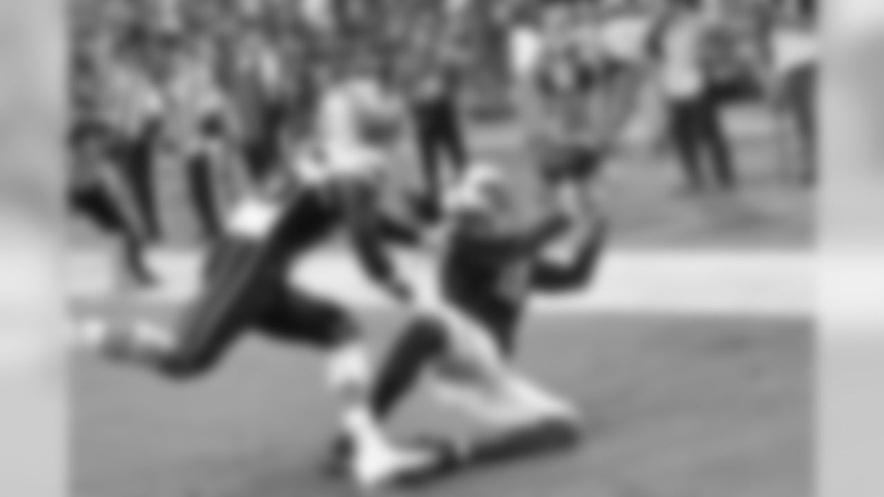 WR Fitzgerald makes a catch in the end zone for his 100th career touchdown