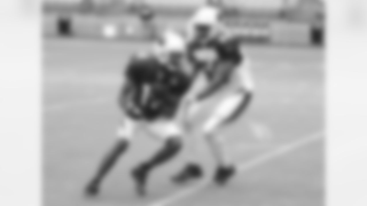 Day 16: WR J.J. Nelson hauls in the catch