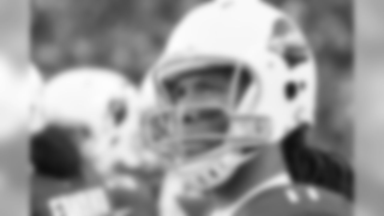 Fitzgerald looks on at the action during Sunday's game