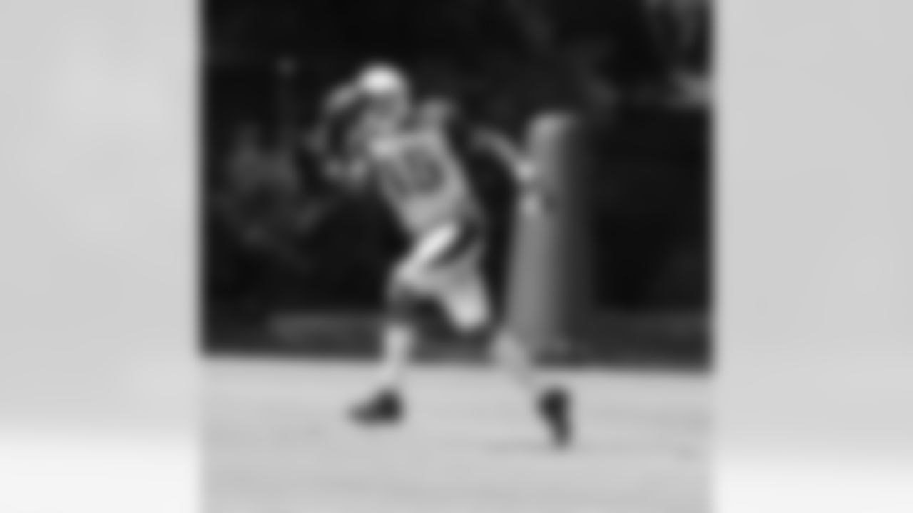 WR Michael Floyd snares the ball