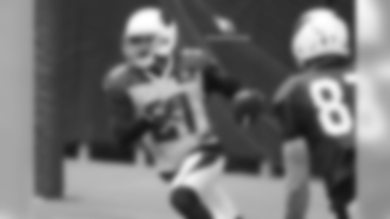 CB Patrick Peterson snags an interception