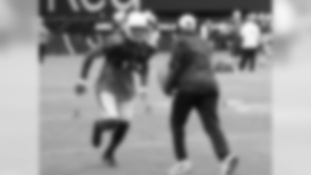 WR Larry Fitzgerald
