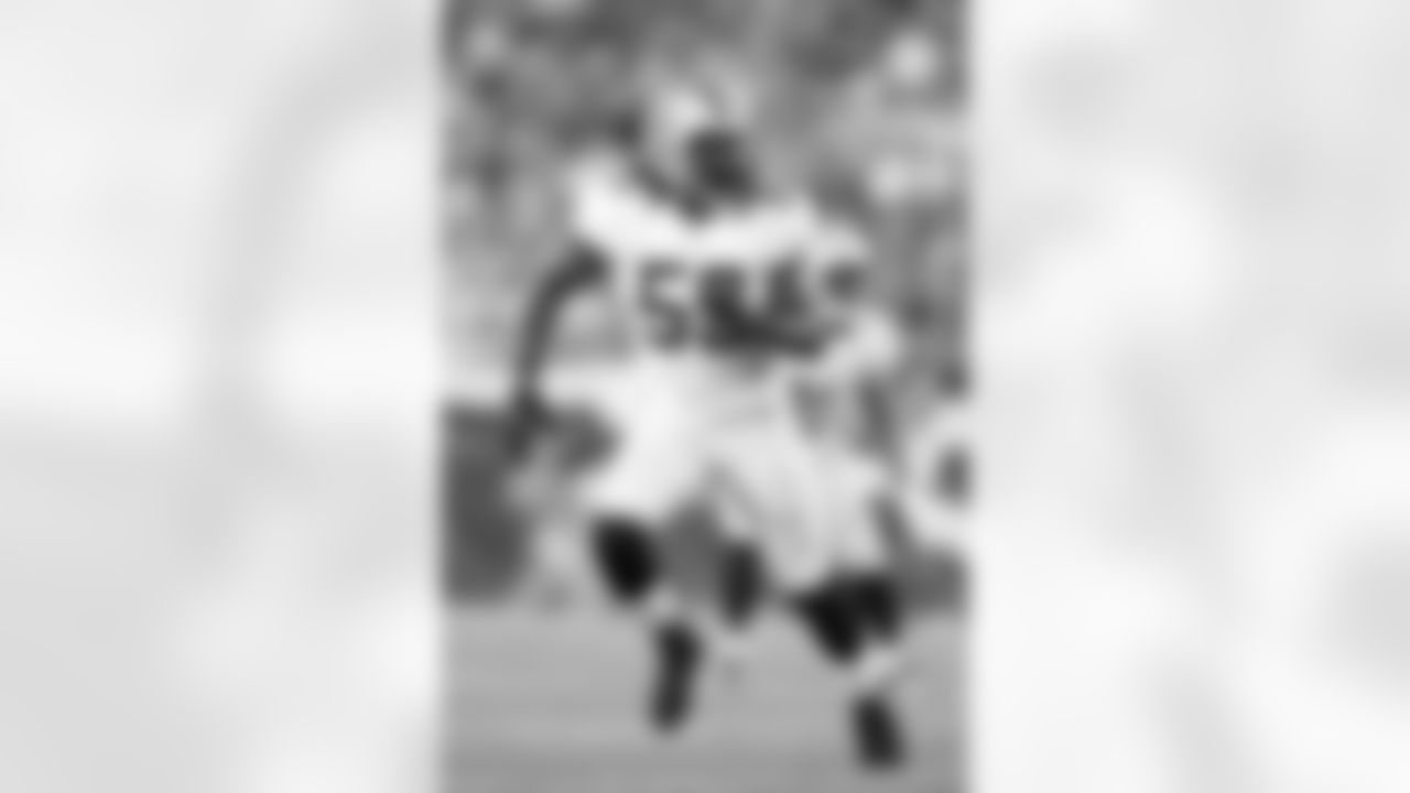 LB Dannell Ellerbe