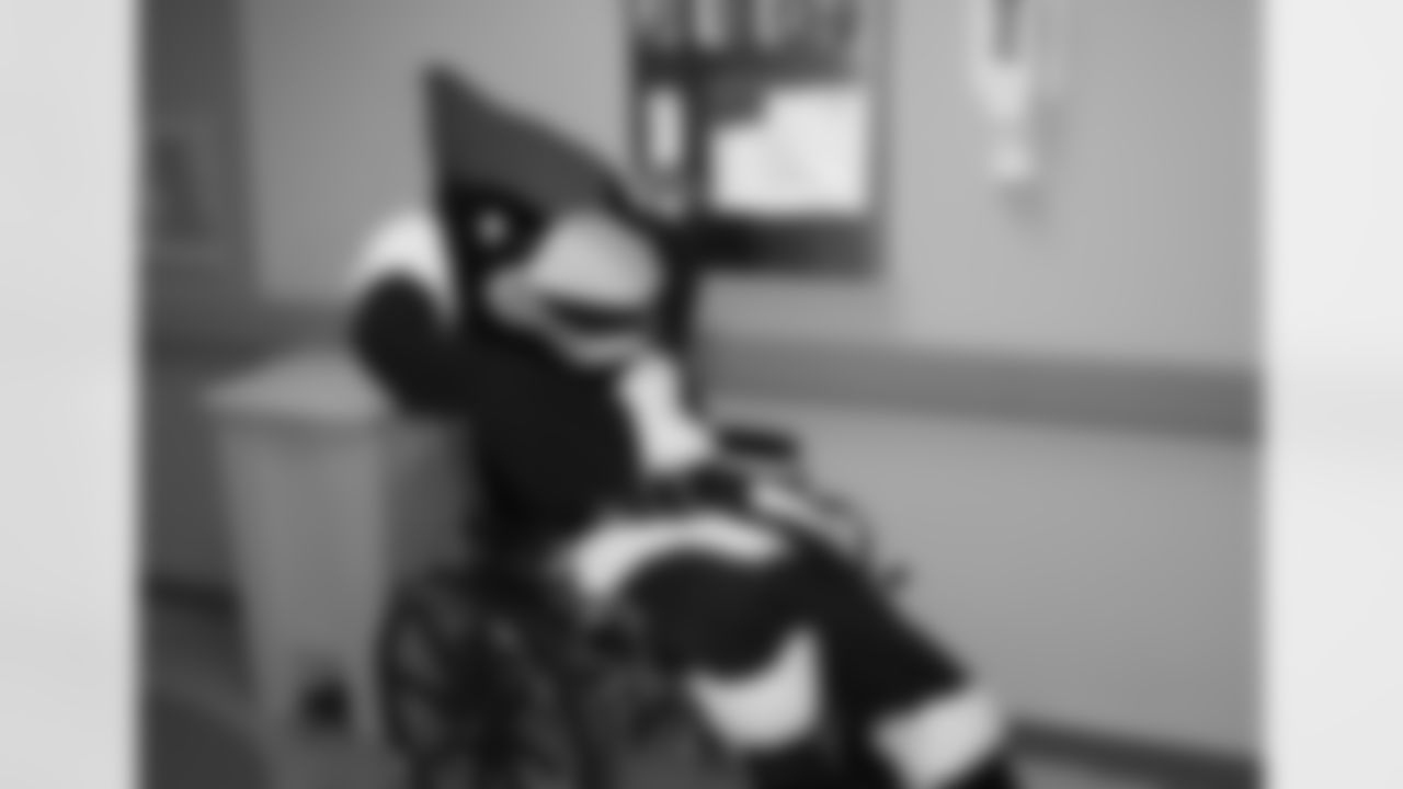 Big Red relaxing in a wheelchair.