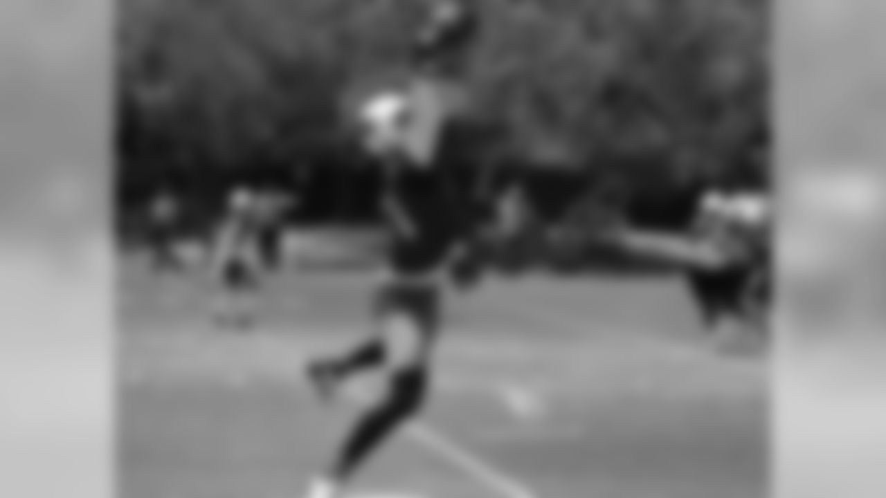 WR Larry Fitzgerald