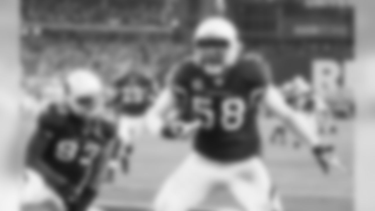 LB Karlos Dansby in the end zone