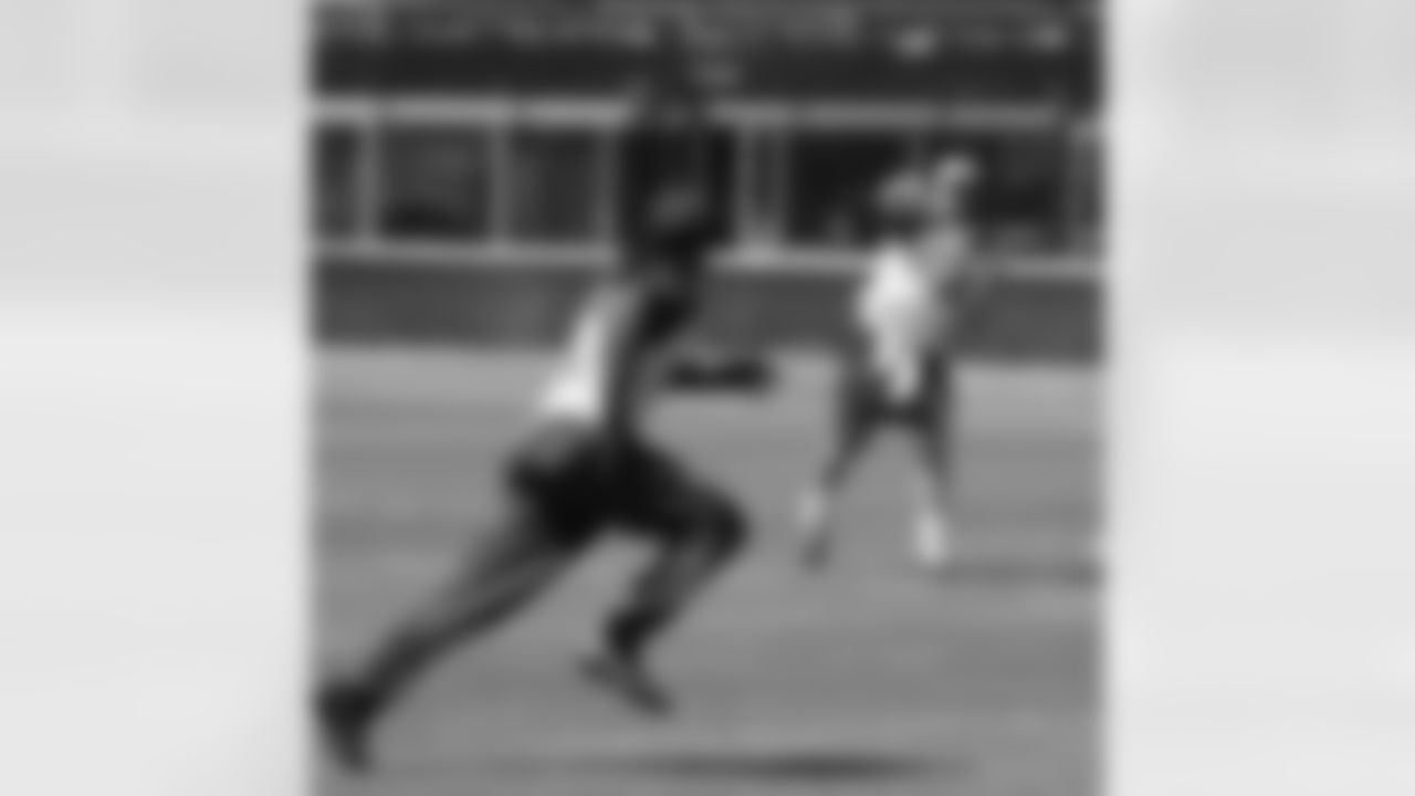 QB Carson Palmer hits WR Larry Fitzgerald in stride