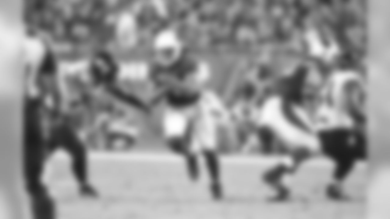 WR Larry Fitzgerald
