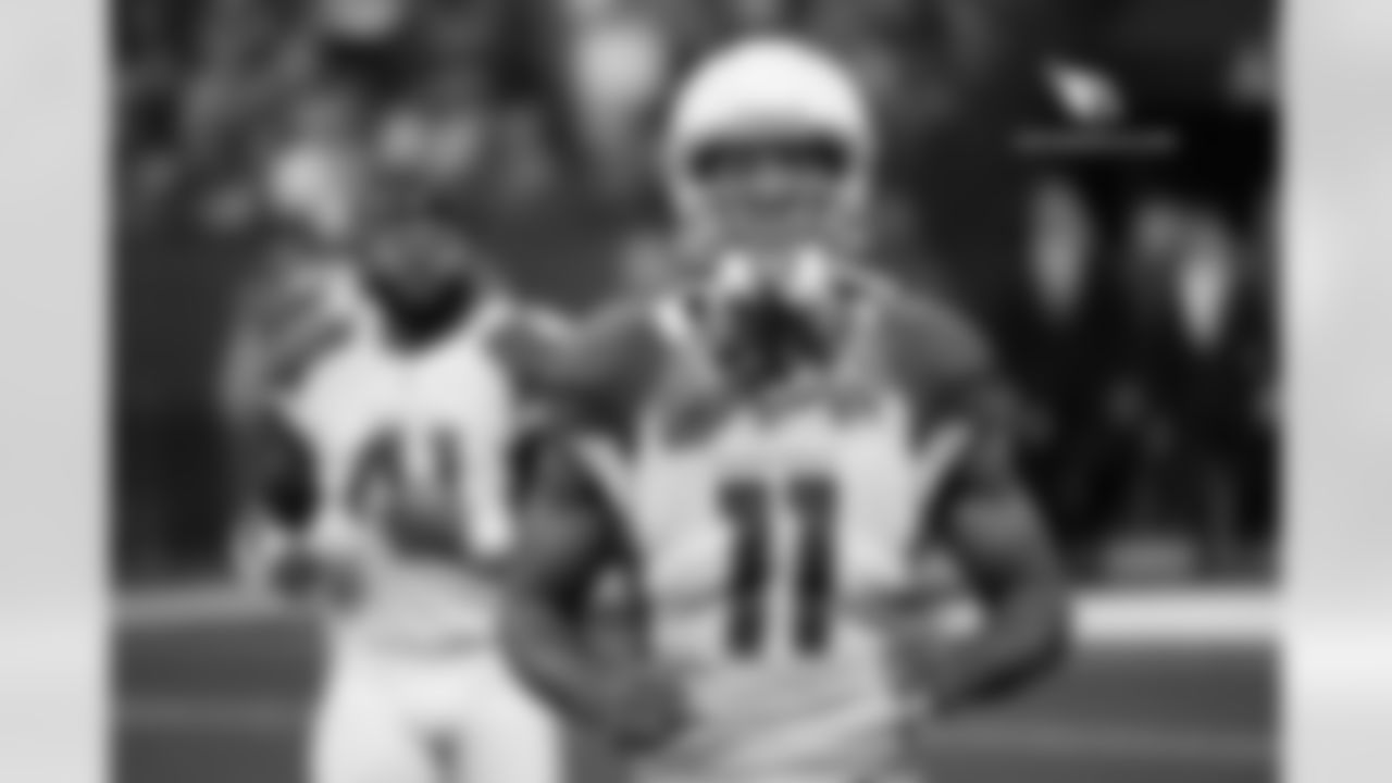 WR Larry Fitzgerald