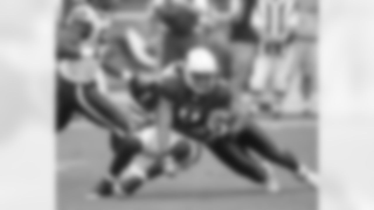 WR Larry Fitzgerald