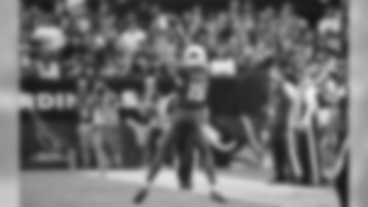 WR Michael Floyd attempts to make a sideline catch