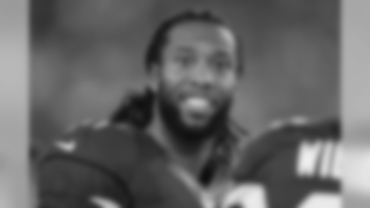 WR Larry Fitzgerald