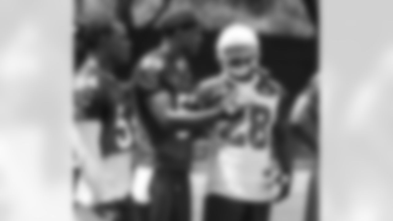 LB Karlos Dansby has a discussion with RB Rashard Mendenhall