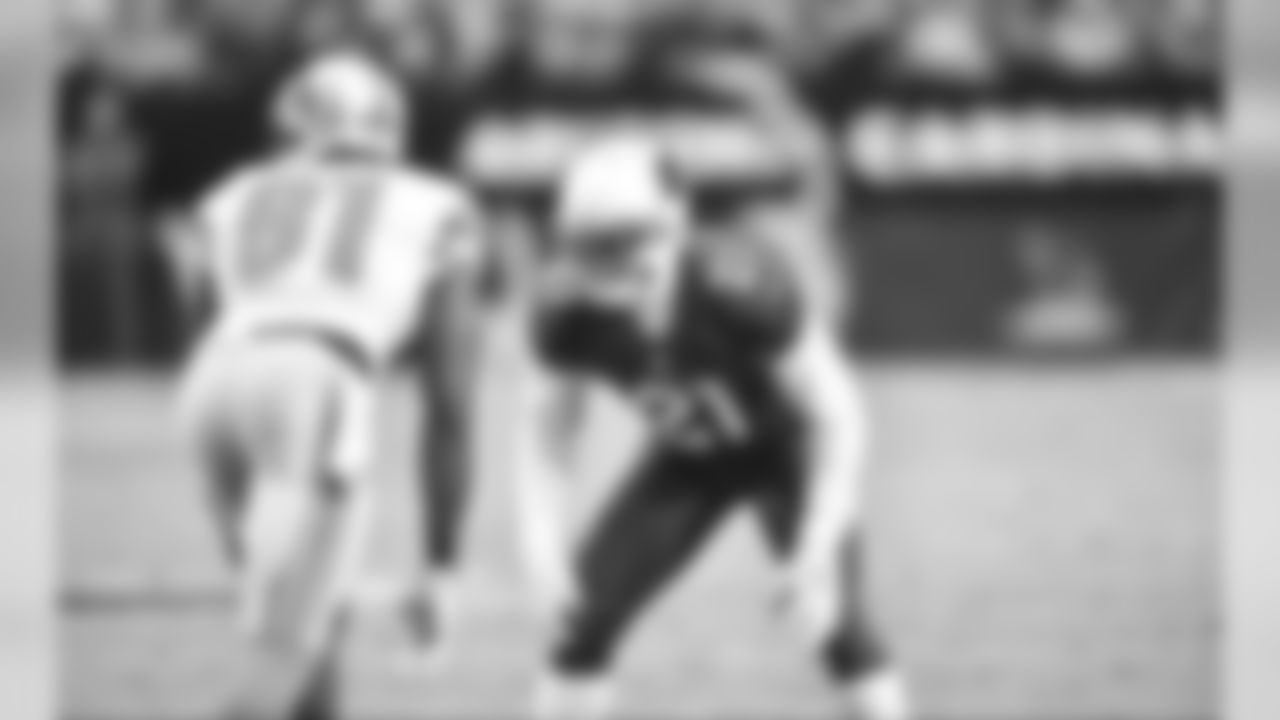 Patrick Peterson vs Calvin Johnson