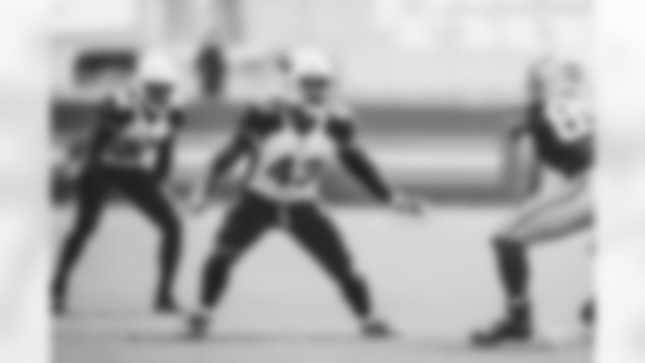 Images of outside linebacker Haason Reddick from throughout the 2020 season.