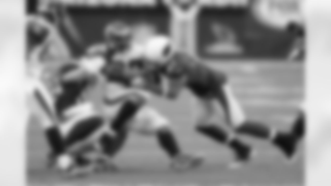 Antrel Rolle 2008