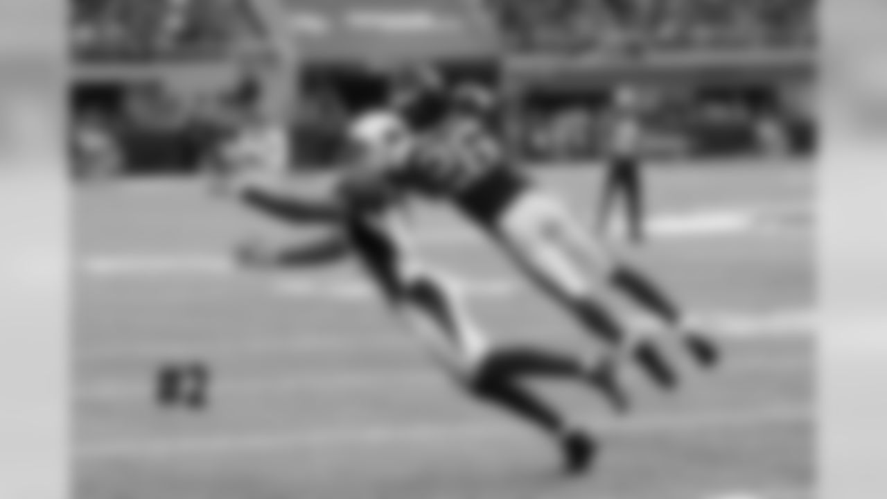 WR Larry Fitzgerald makes a nice reception