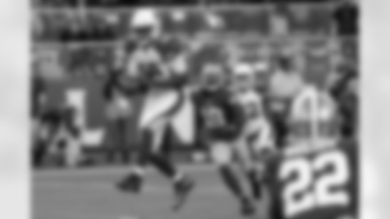 LB Karlos Dansby