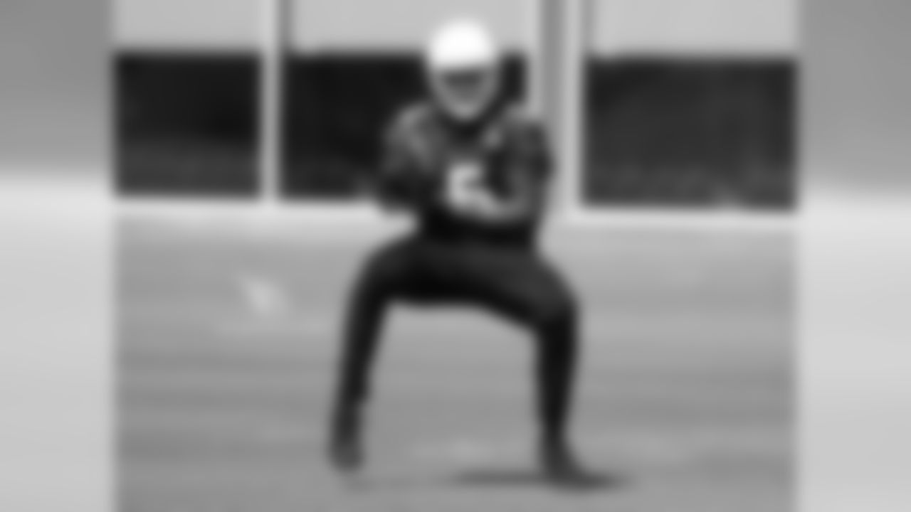 WR Michael Floyd