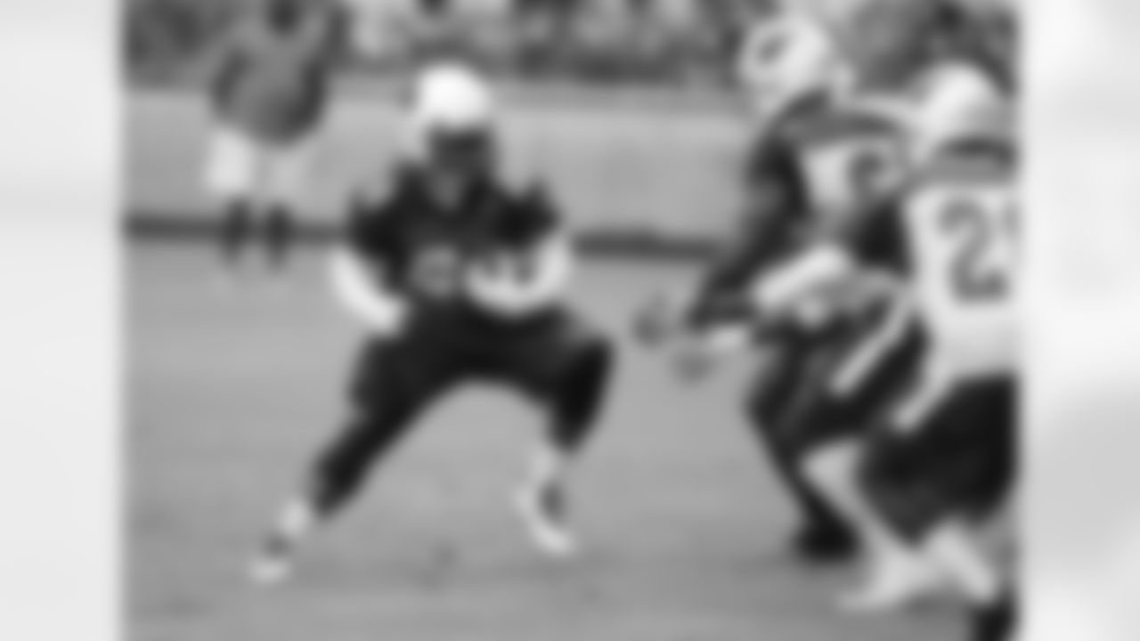RB Jonathan Dwyer carries the ball
