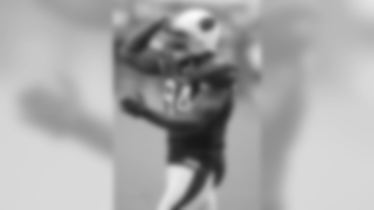 Defensive lineman Antonio Smith