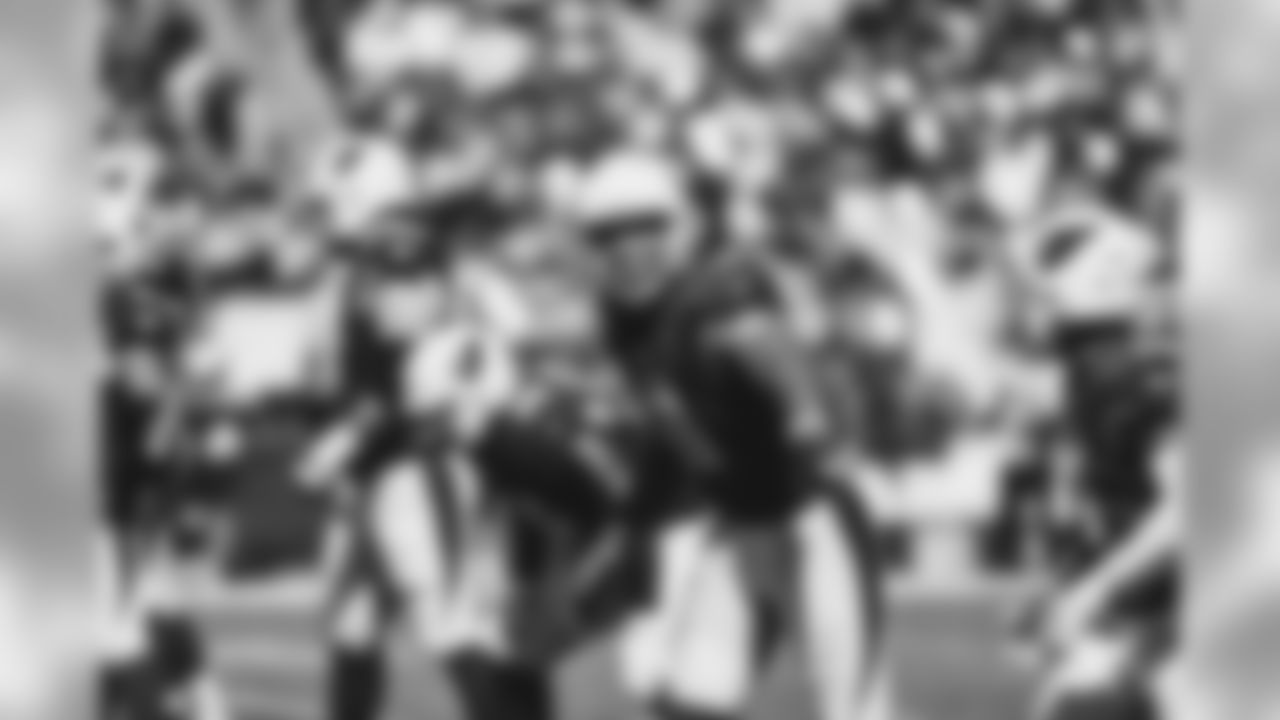 WR Larry Fitzgerald