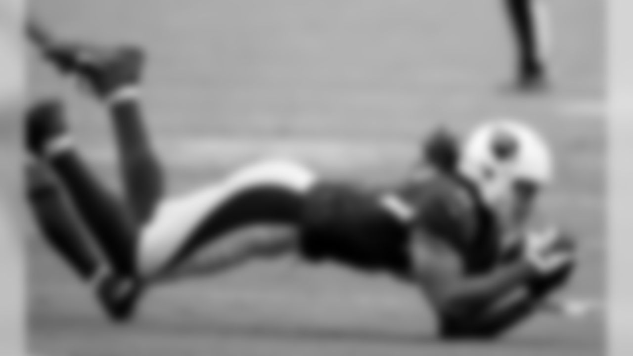 WR Larry Fitzgerald dives for a catch