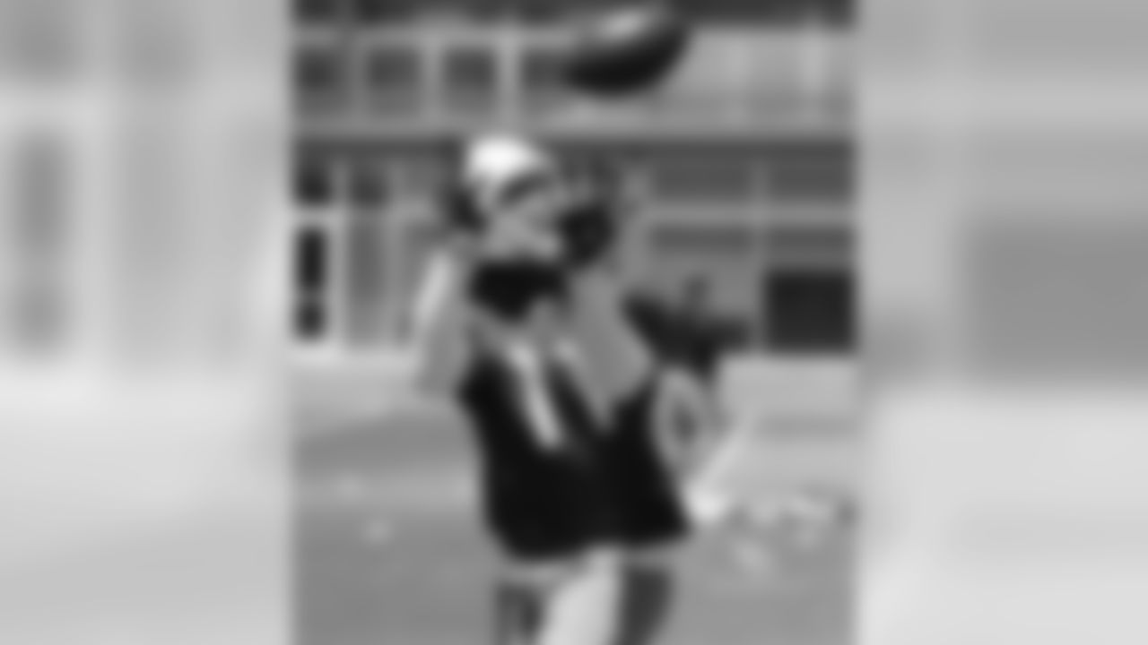 WR Larry Fitzgerald