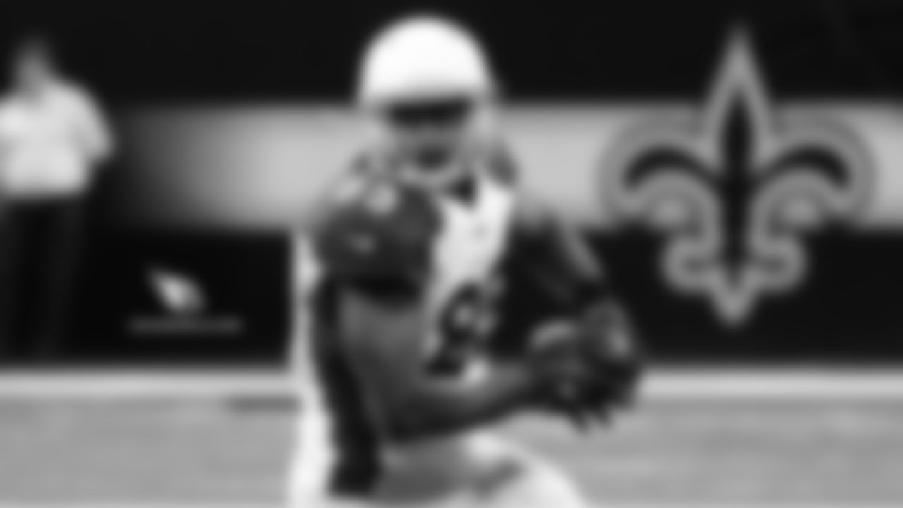 TE Gabe Holmes