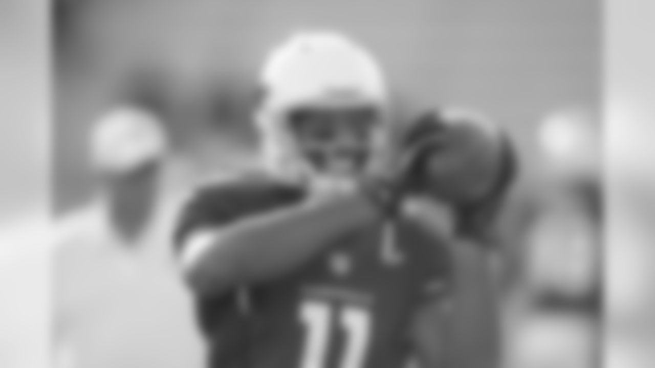 WR Larry Fitzgerald