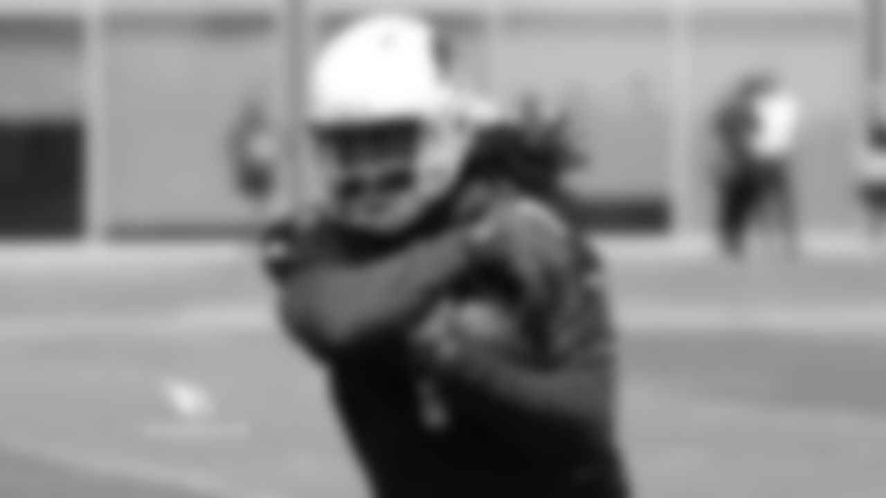 WR Larry Fitzgerald