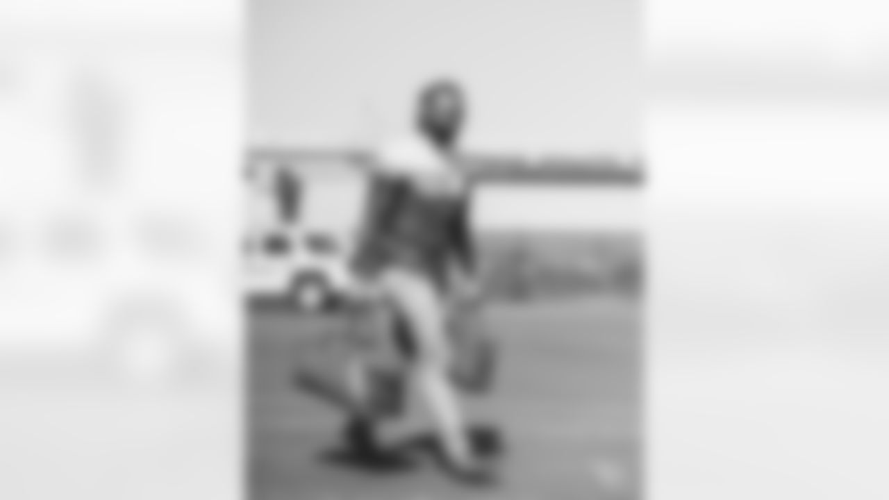 WR Larry Fitzgerald