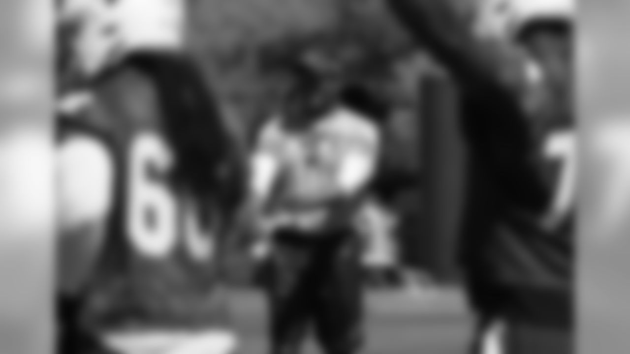 Coach Steve Wilks