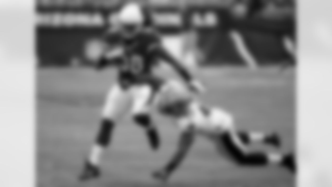 RB Andre Ellington