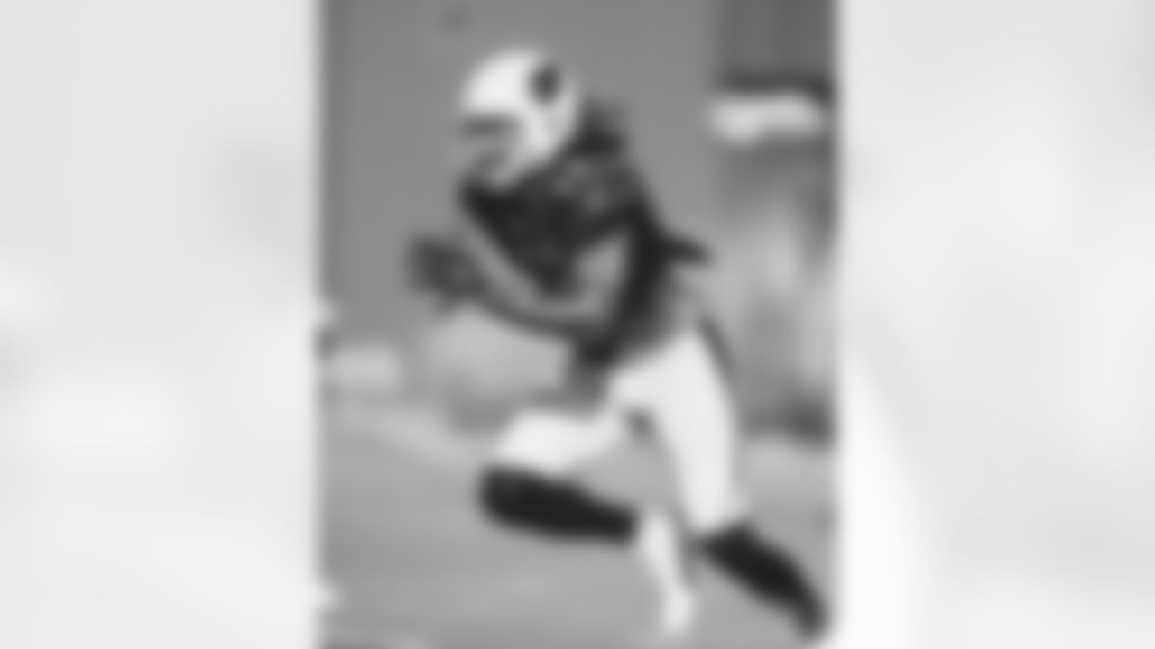 WR Larry Fitzgerald