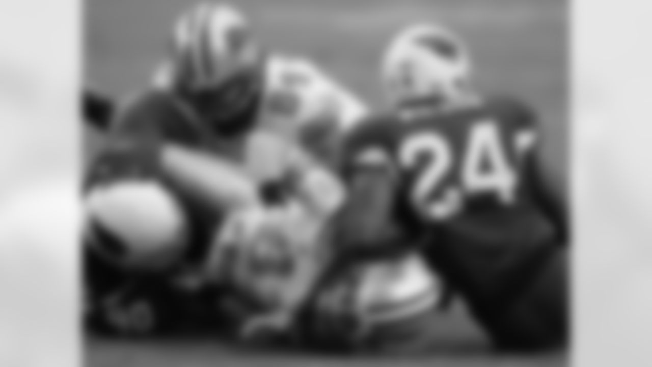 vs. Lions