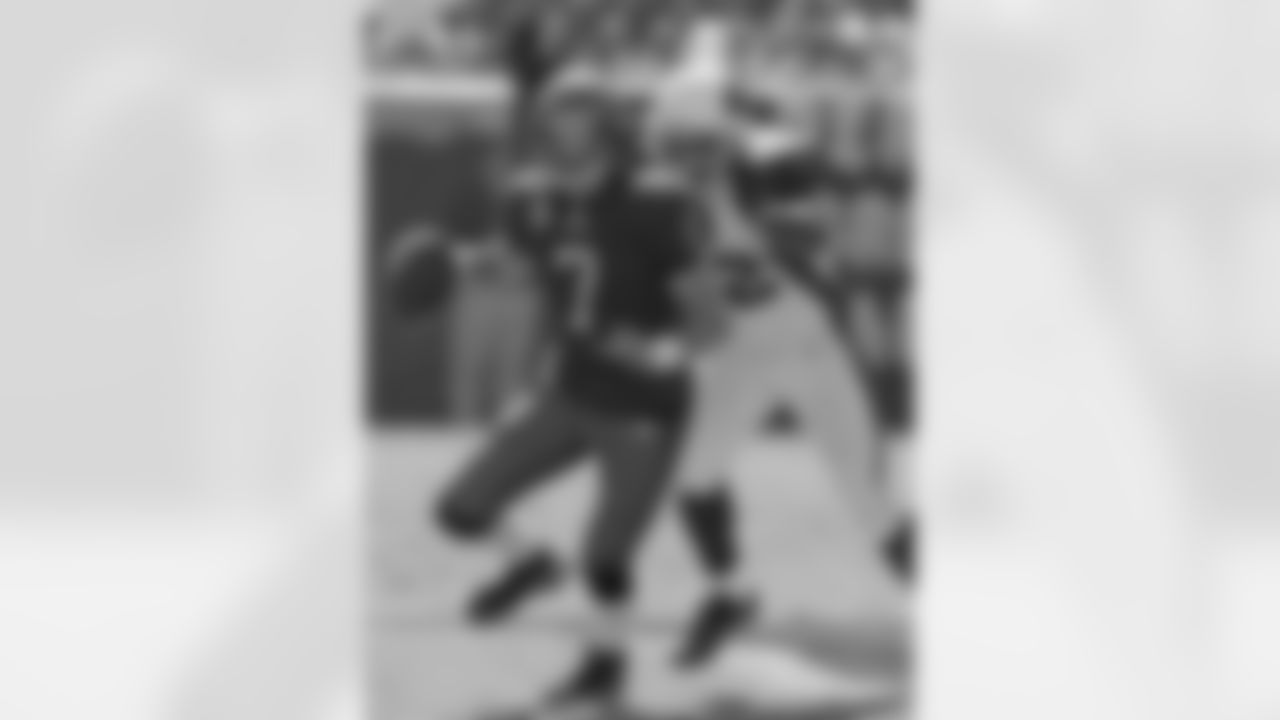 Bertrand Berry sacking Jeff Garcia 2007