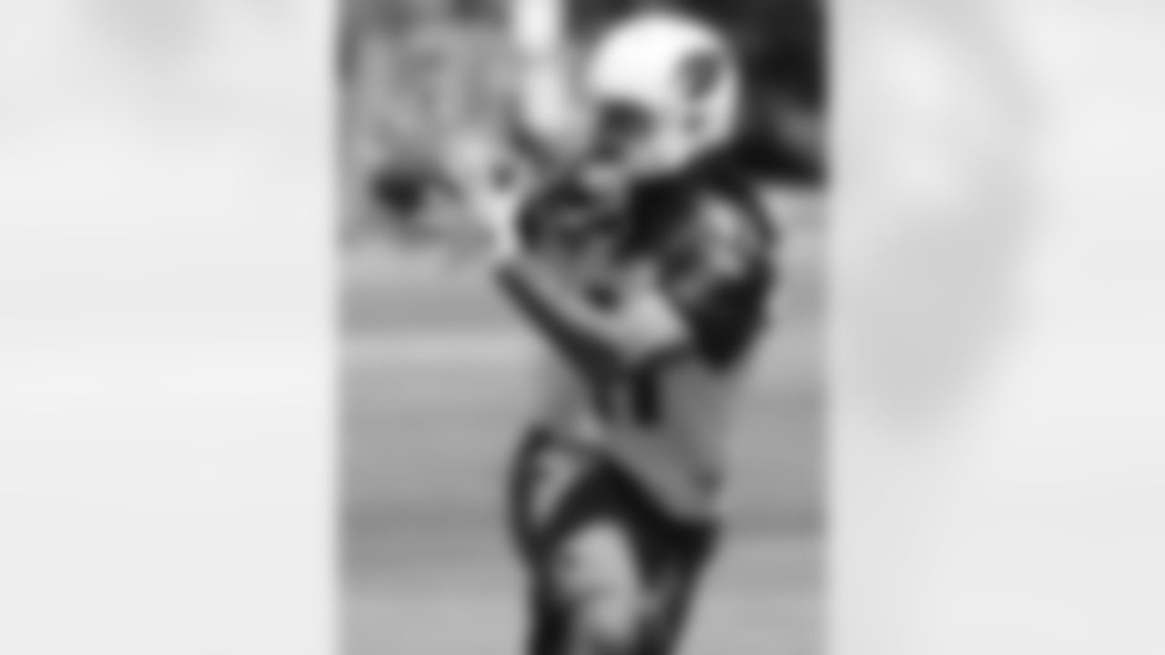 Wide receiver Larry Fitzgerald