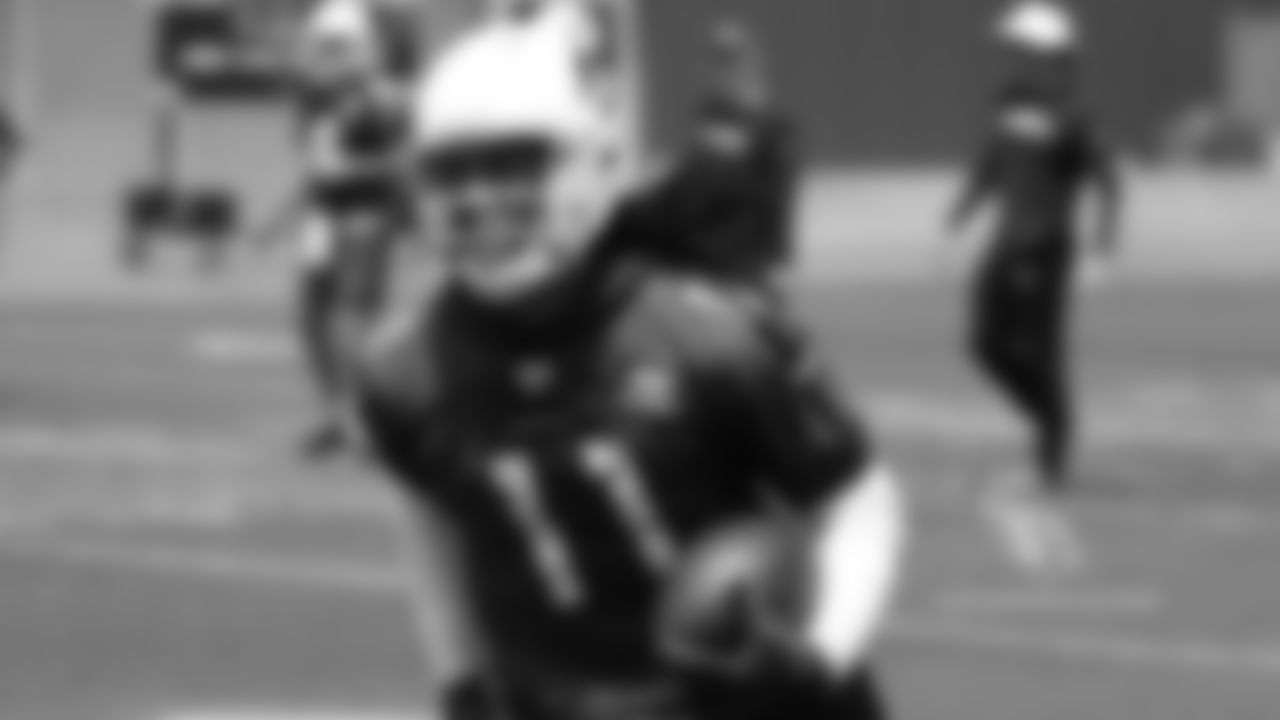 WR Larry Fitzgerald