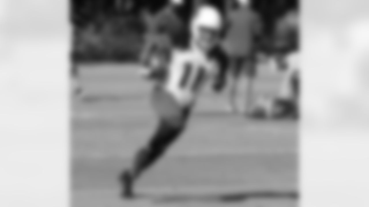 WR Larry Fitzgerald