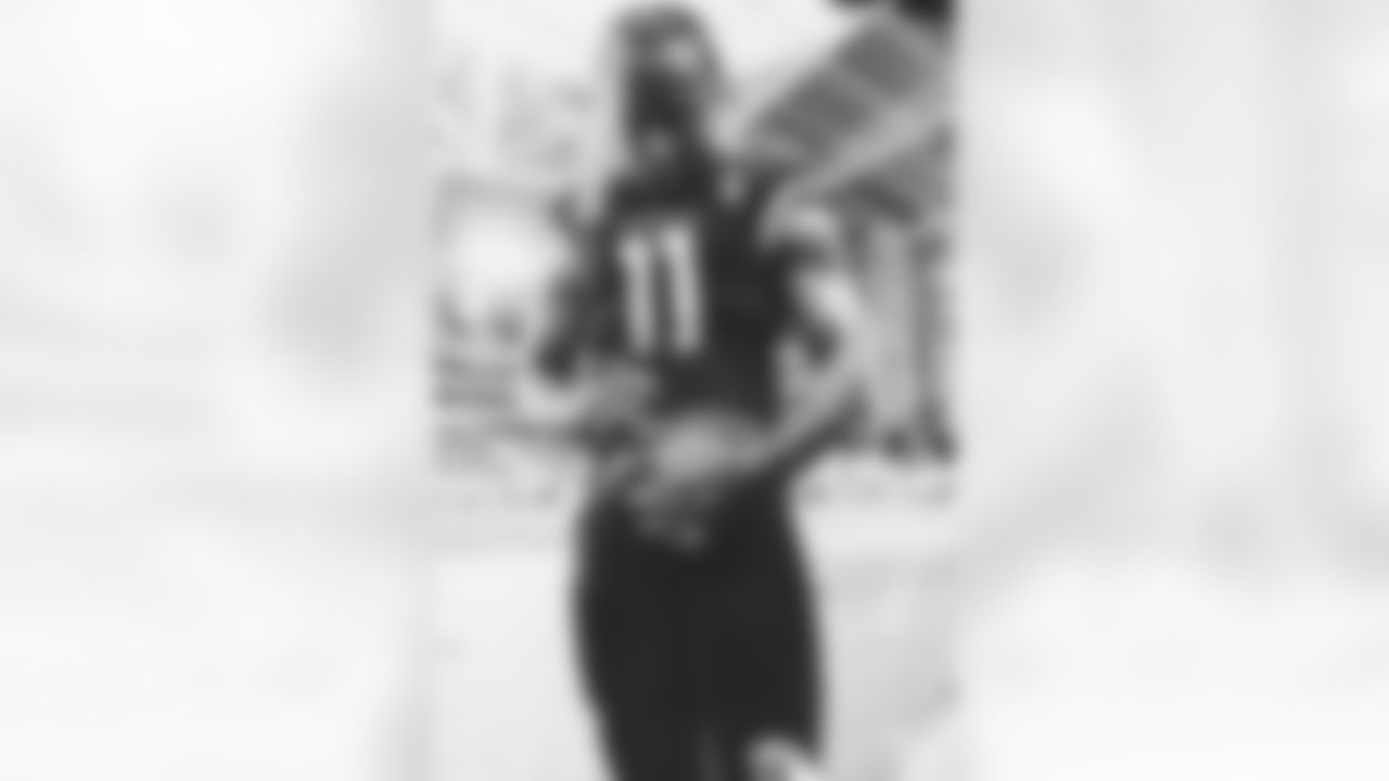 WR Larry Fitzgerald