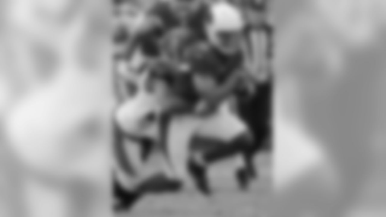 WR Larry Fitzgerald