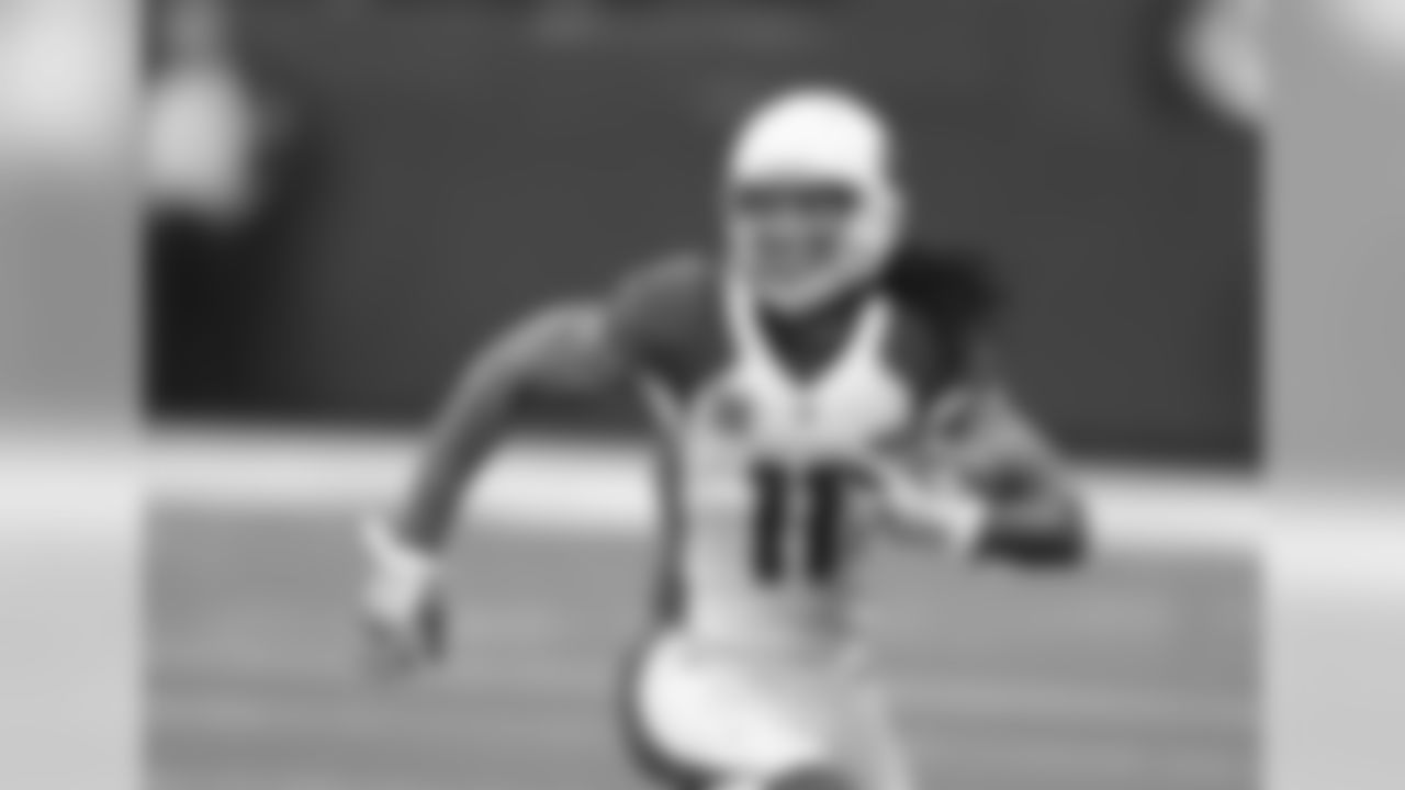 WR Larry Fitzgerald