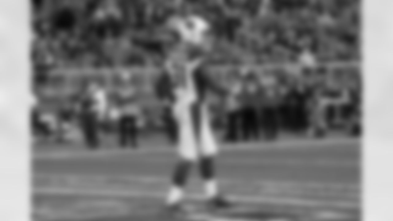 RB David Johnson: 8 rushes, 21 yards, TD